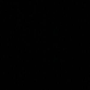 Meet your Posher, Kiara